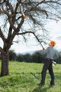 ტელესკოპური ბენზოხერხი STIHL HT 56 C-E - Image 2